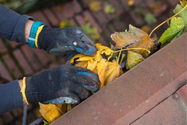 Gutter Cleaning in Surrey
